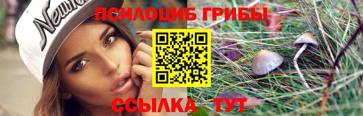 Псилоцибиновые грибы Cubensis Донецк