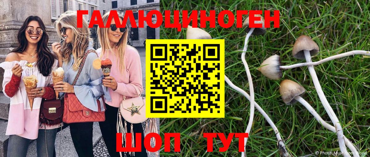 Донецк  Галлюциногенные грибы Magic Shrooms  Вход с VPN 
